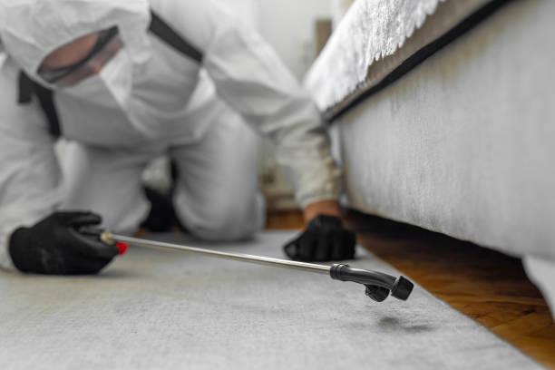 Professional Pest Control technician working in Grenelefe, FL